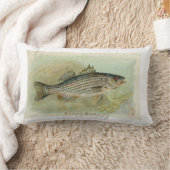 シマスズキ ランバークッション (ブランケット)