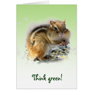 シマリスのアースデー