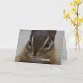 シマリスの挨拶状 カード (黄色い花)