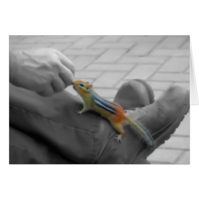 シマリスの昼食 (正面横)