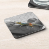 シマリスの昼食 コースター (左側)