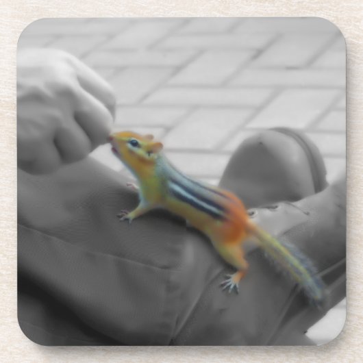 シマリスの昼食 コースター (正面)