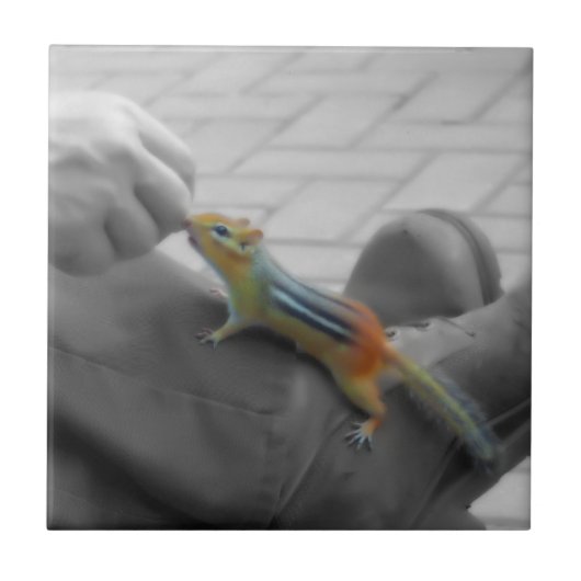 シマリスの昼食 タイル (正面)