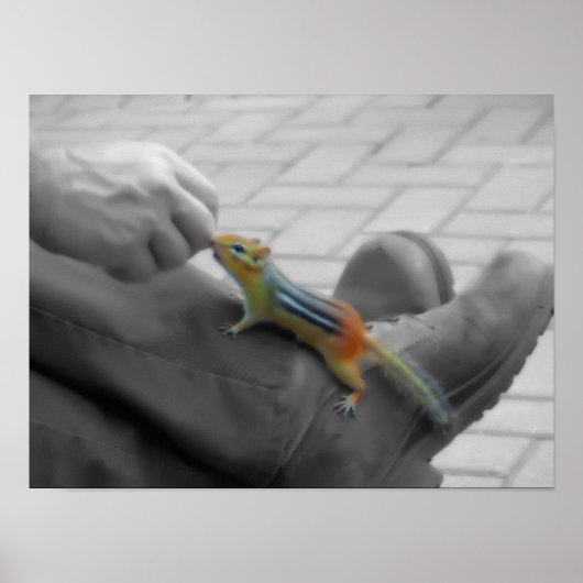 シマリスの昼食 ポスター (正面)