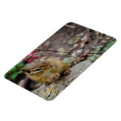 シマリスの食事 マグネット (左側)