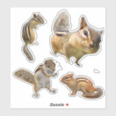 シマリス ステッカー コレクション シール (シート)