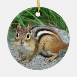 シマリス セラミックオーナメント
