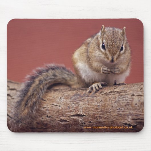 シマリス マウスパッド (正面)
