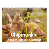 シマリス! 極度のかわいい2013壁掛けカレンダー カレンダー (カバー)