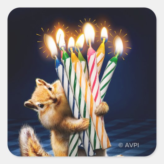 シマリス 誕生日 キャンドル スクエアシール (正面)