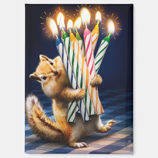 シマリス 誕生日 キャンドル マグネット (正面)