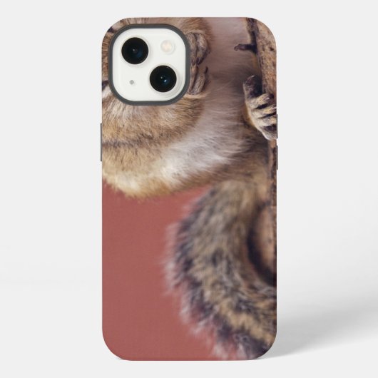 シマリス iPad カバー (裏面)