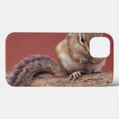 シマリス iPad カバー (裏面 (横))