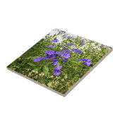 シミリンシアム血管胞膜セラミックタイル タイル (側面)