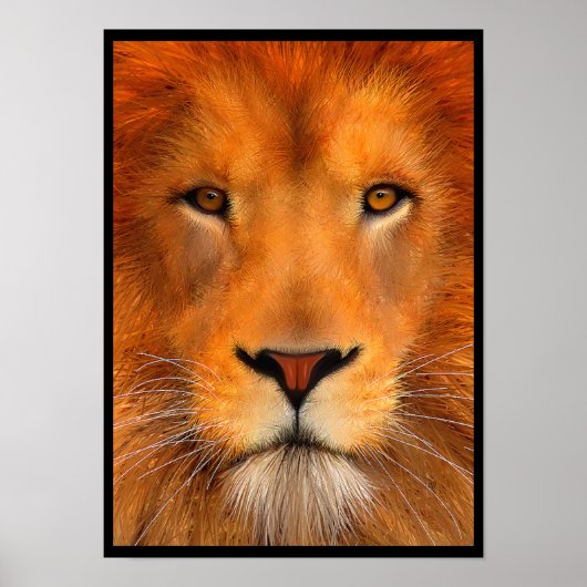 シムハライオンポスター ポスター (正面)