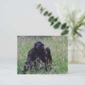 シムパン ポストカード (スタンド正面)