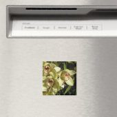 シムビジウムラン磁石 マグネット (インサイチュ (食洗機))