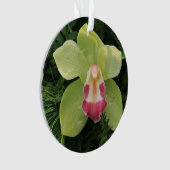 シムビジウム蘭 オーナメント (正面)