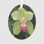 シムビジウム蘭 オーナメント (正面)