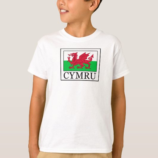 シムル Tシャツ (正面)