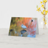 シャイな白鳥 カード (黄色い花)