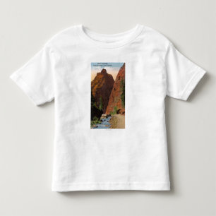シャイエンヌ南渓谷 トドラーTシャツ