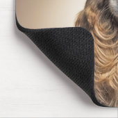 シャイゴールデンレトリバー マウスパッド (コーナー)