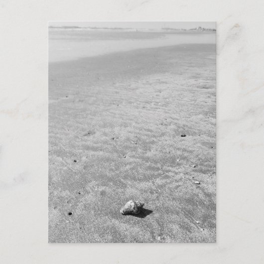 シャイシェルミットカニ葉書 ポストカード (正面)