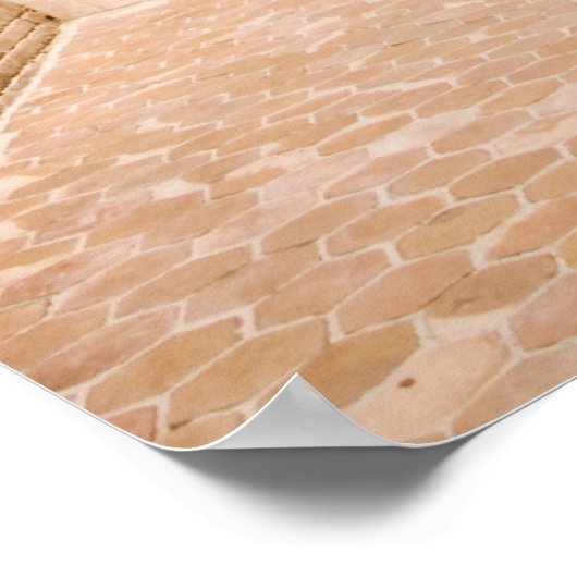 シャイジンダ ポスター (角)