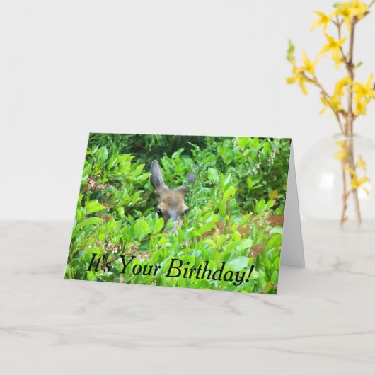 シャイディアワイルドライフ誕生日 カード (黄色い花)