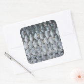 シャイニーサケはかりで測 スクエアシール (封筒)