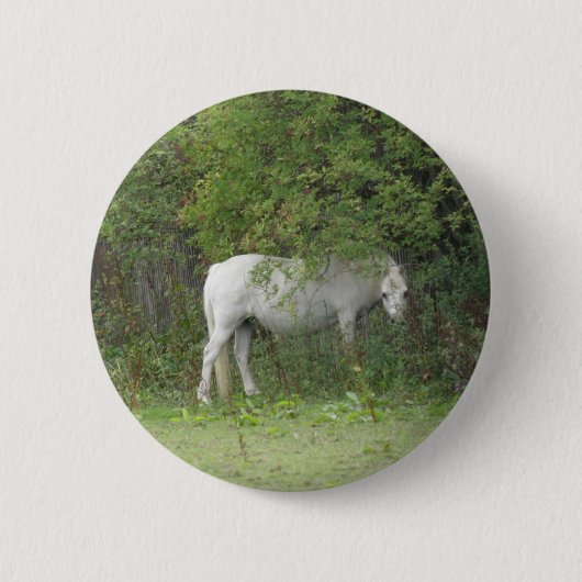 シャイホワイトホースボタン 缶バッジ (正面)