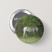 シャイホワイトホースボタン 缶バッジ (正面&裏面)