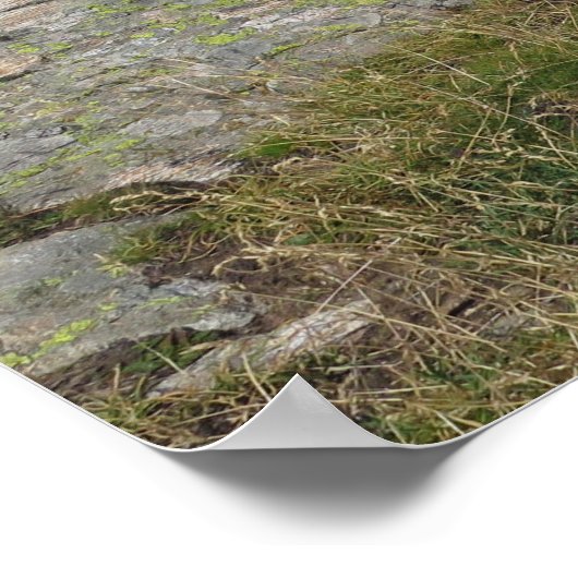 シャインデフィズアフランスのルプス ポスター (角)