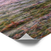 シャインドームポスター ポスター (角)