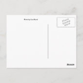 シャイン ポストカード (裏面)