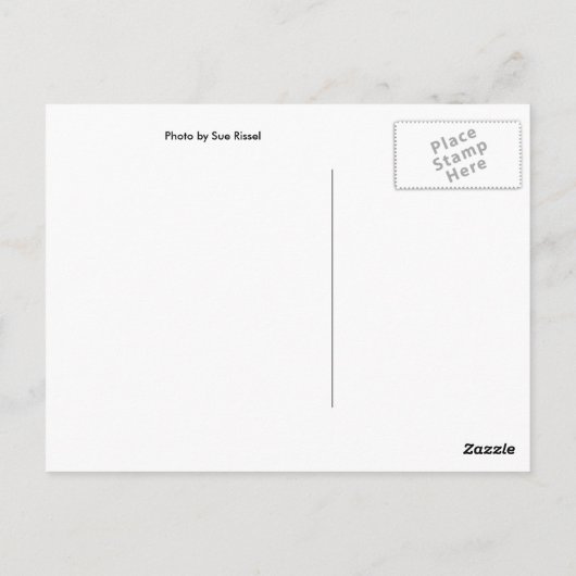 シャイン ポストカード (裏面)