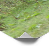 シャイ白馬のポスター ポスター (角)