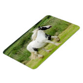 シャイ絵を描ウマフレキシブル磁石 マグネット (左側)