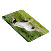 シャイ絵を描ウマフレキシブル磁石 マグネット (右側)