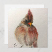 シャイ赤い鳥のノートカード シーズンカード (正面/裏面)