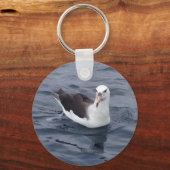 シャイ・アルバトロス キーホルダー (正面)