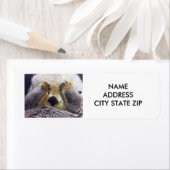 「シャイ・オッター」住所 シール (インサイチュ)