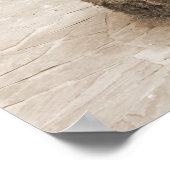 シャイ・ガール・イン・ザ・バラ ポスター (角)