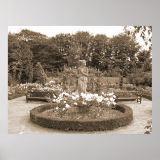 シャイ・ガール・イン・ザ・バラ ポスター