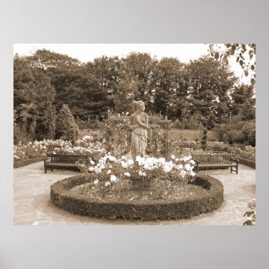 シャイ・ガール・イン・ザ・バラ ポスター (正面)