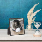 シャイ・ゾロ子猫写真プラーク フォトプラーク (インサイチュ)