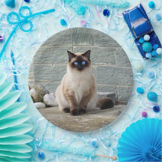 シャエレガントム猫写真 ペーパープレート (パーティー)
