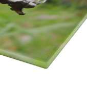 シャギーなインキキャップきのこガラスの切り盤 カッティングボード (角)