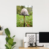 シャギーなインキキャップのマッシュルームのポスター ポスター (ホームオフィス)